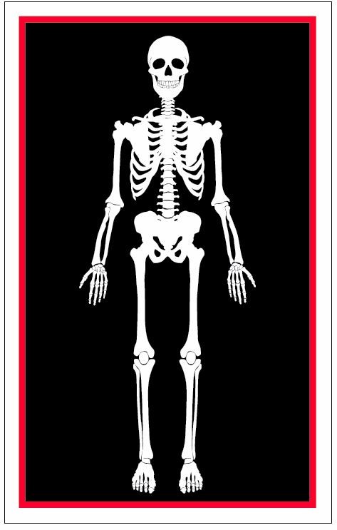 horrific skeleton metal playing card