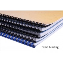 A4 Printing and Binding (Punch Holes)