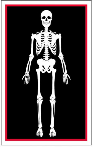 horrific skeleton metal playing card